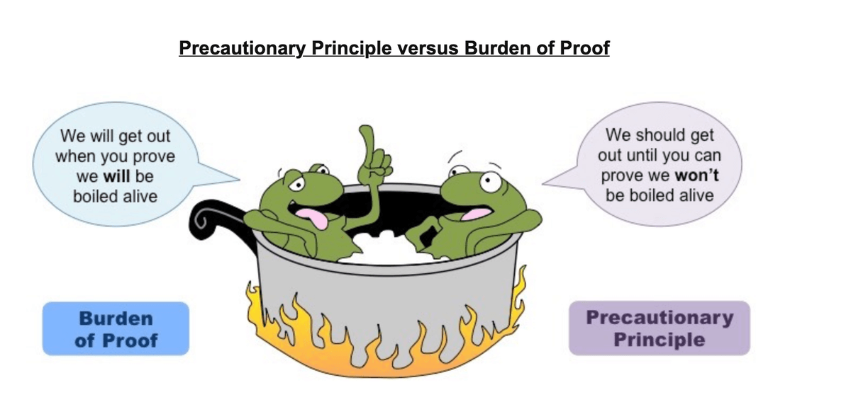 Precautionary Principle versus Burden of Proof