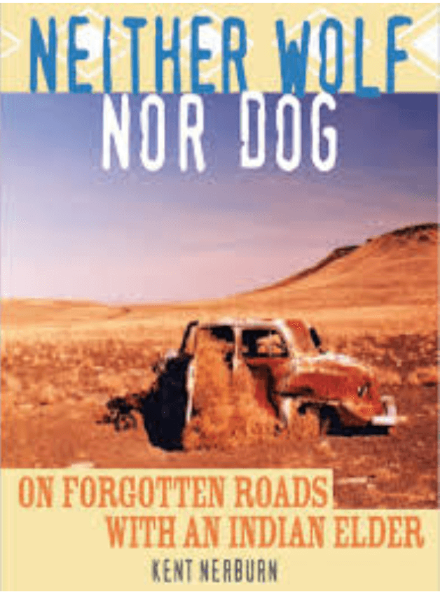 An excerpt from "Neither Wolf nor Dog": why do Indians keep so much trash on their land if it could be so easy to clean it up?