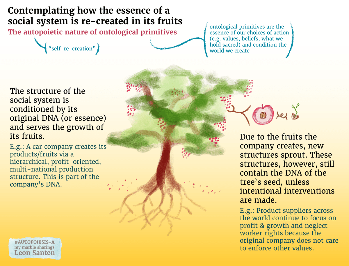 What are ontological primitives?
